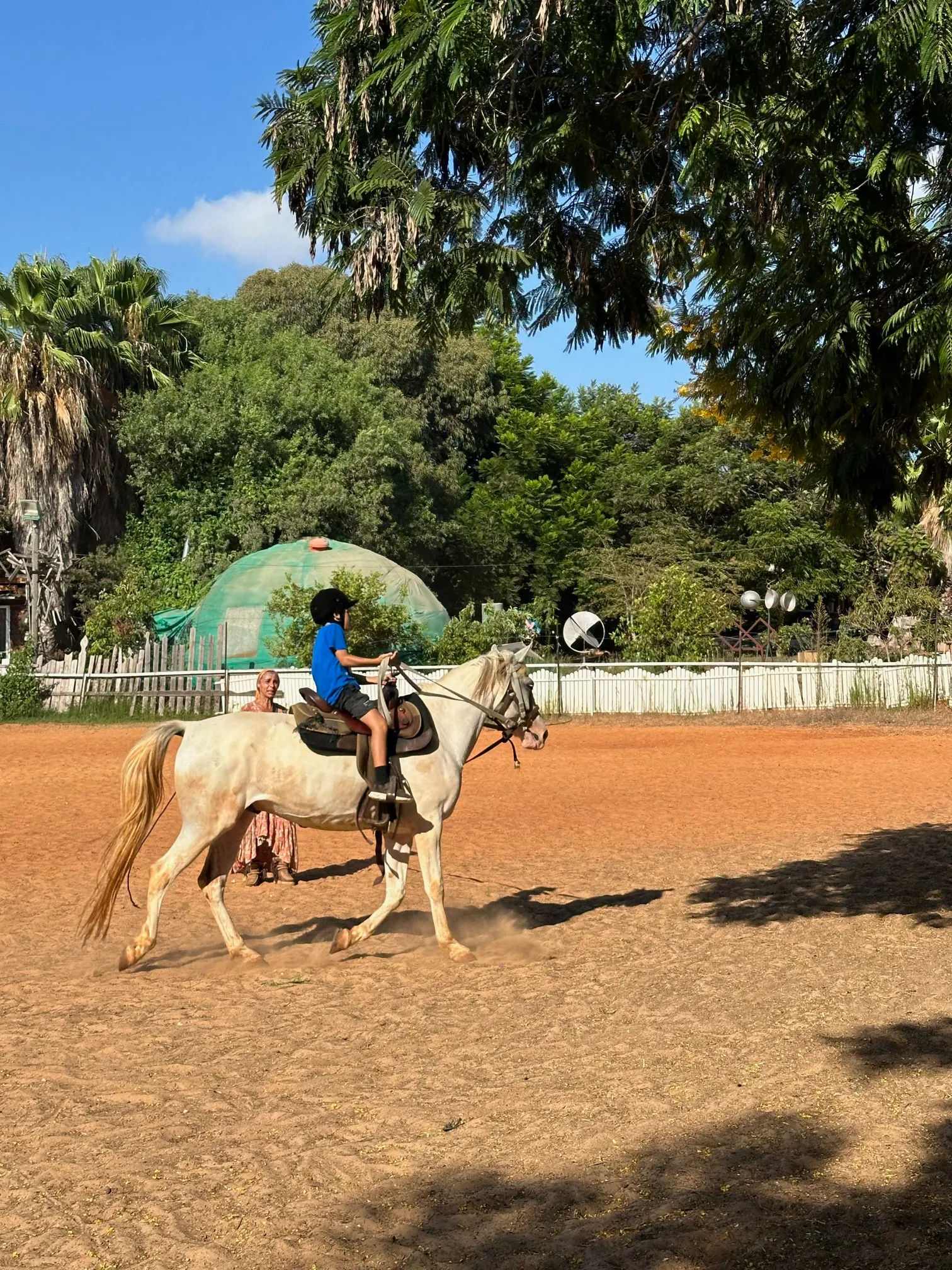 ילד רוכב על סוס בחוות לב הטבע